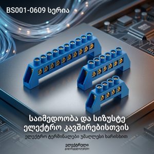 ტერმინალური ბლოკი ხიდი 0609-12P